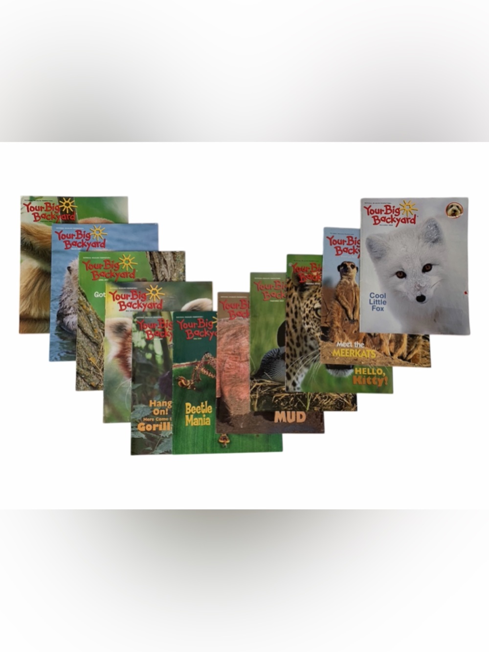 My Big Backyard Magazine Set of 11 Combined Years of 2006 - 2007 Ages 3-7